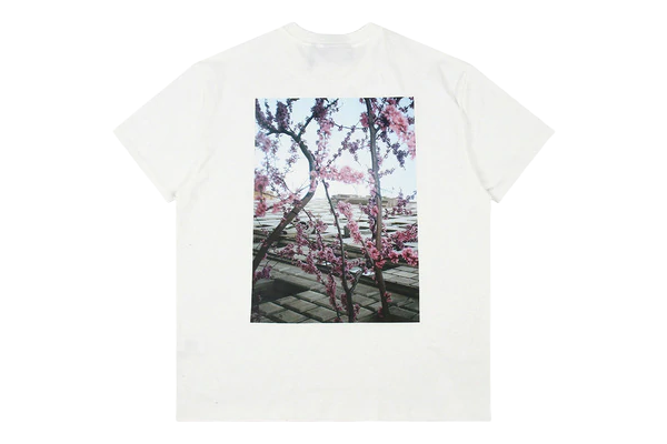 ESSENTIALS T-shirt Shaniqwa Jarvis Photo Series White ESSENTIALS تي شيرت شانيقوا جارفيس سلسلة صور أبيض